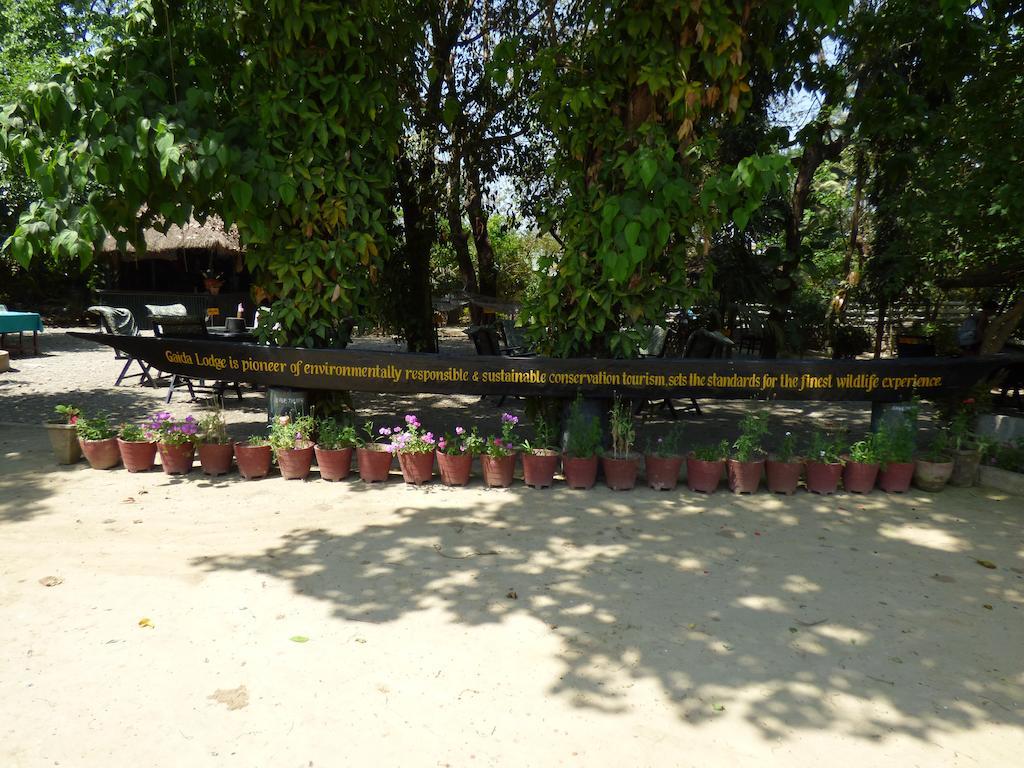 Chitwan Gaida Lodge Sauraha Kültér fotó