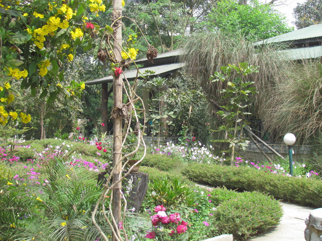 Chitwan Gaida Lodge Sauraha Kültér fotó