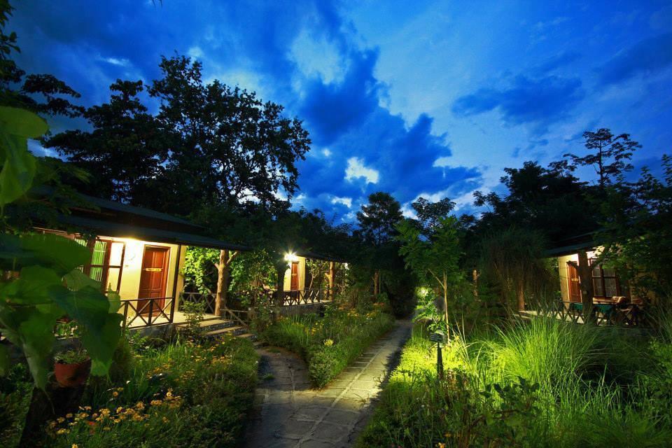 Chitwan Gaida Lodge Sauraha Kültér fotó