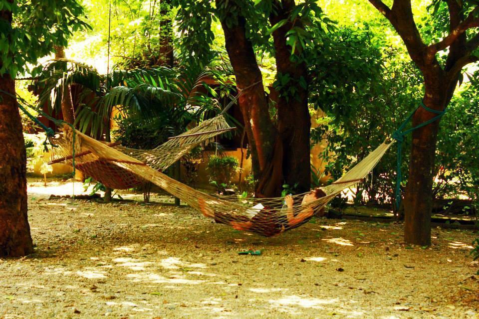 Chitwan Gaida Lodge Sauraha Kültér fotó
