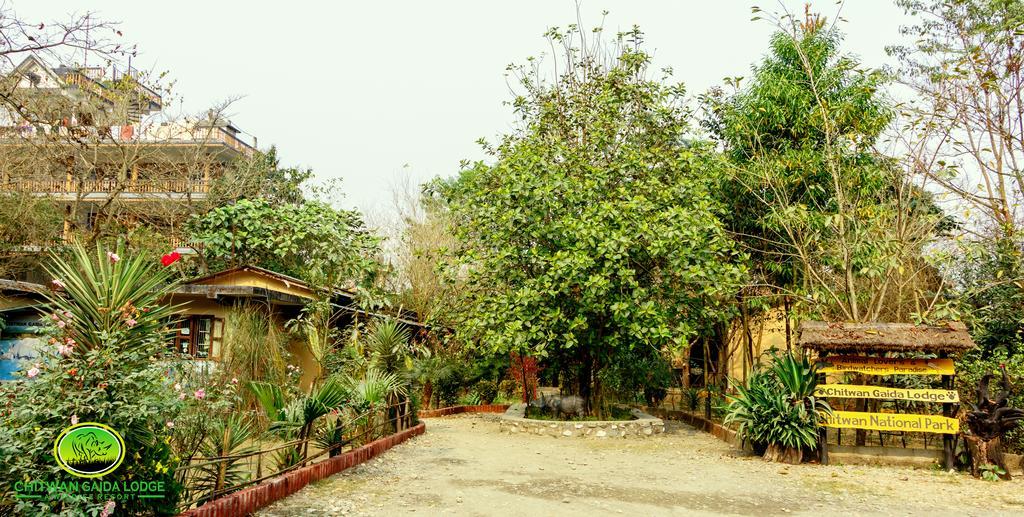 Chitwan Gaida Lodge Sauraha Kültér fotó