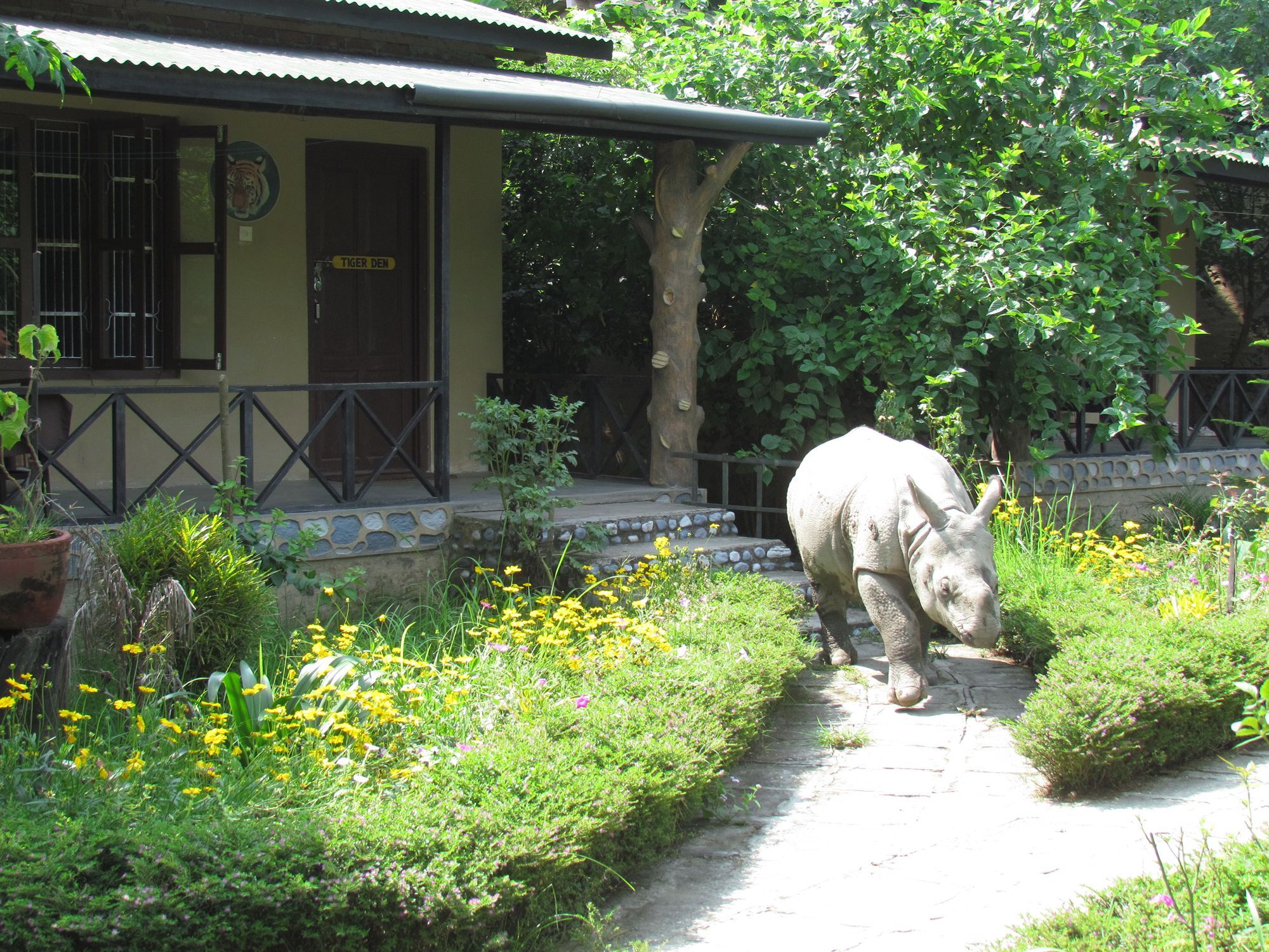 Chitwan Gaida Lodge Sauraha Kültér fotó